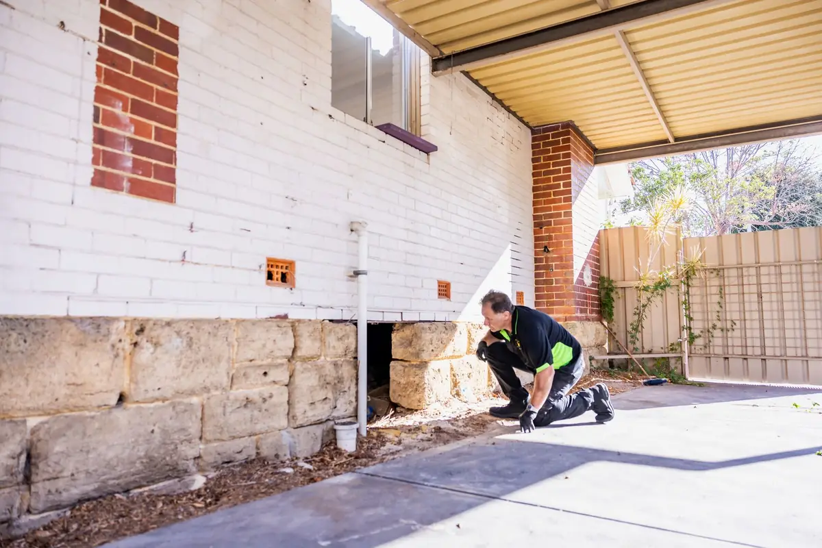 Building inspector checking brickwork and limestone footings along a house wall in Perth