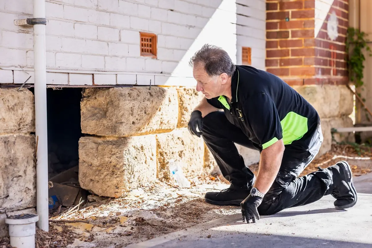 Building inspector examining limestone footings beside a downpipe below a brick wall in Perth