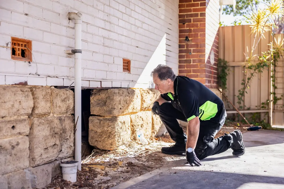 Building inspector checking limestone footings and subfloor vents during an inspection in Fremantle