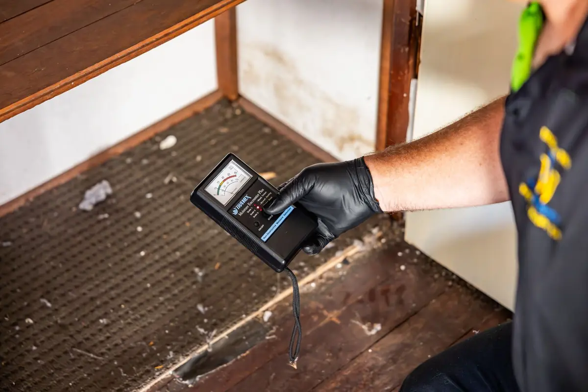 Moisture meter used to check for damp conditions during a timber pest inspection in Perth