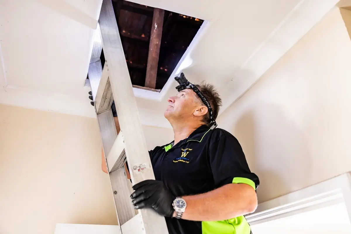 Building inspector climbing a ladder to the roof space manhole during an inspection in Bunbury