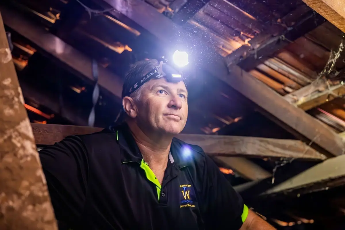 Building inspector with a head torch examining the roof space in Fremantle