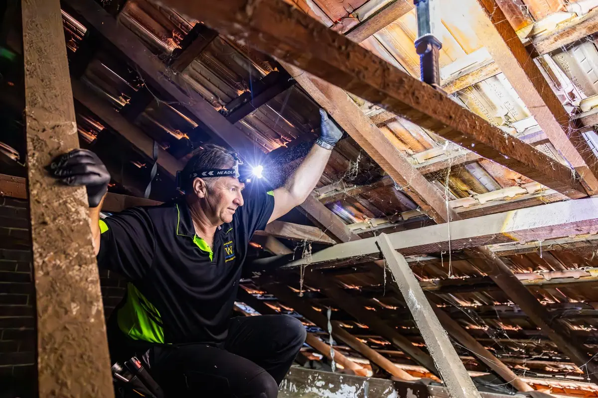 Inspector using a head torch to check roof framing during a building inspection in Perth