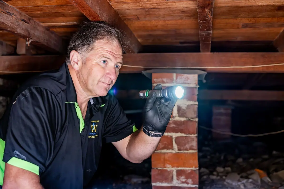 Timber pest inspector using a torch to check subfloor timbers and brick piers in Perth